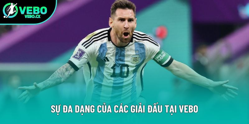Sự đa dạng của các giải đấu tại VEBO