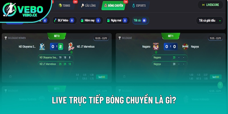 Giải thích live trực tiếp bóng chuyền