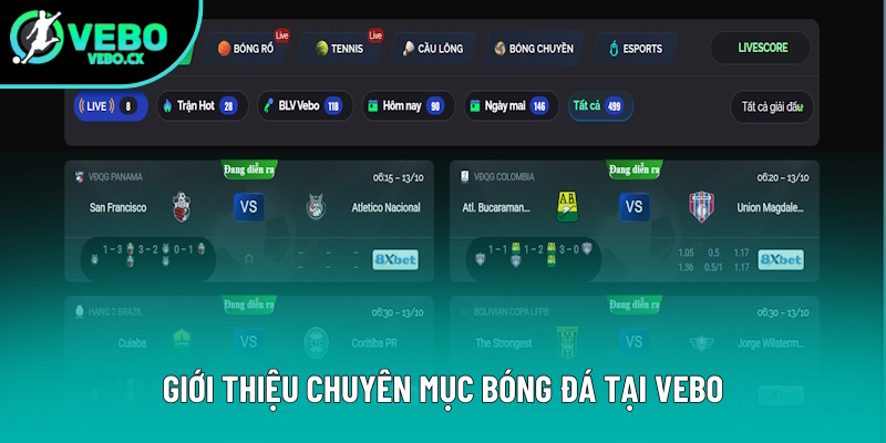 Thông tin giới thiệu mục bóng đá